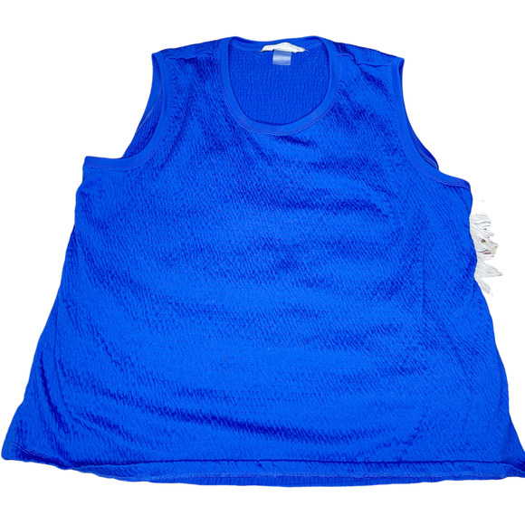 Allison Daley Petite Blue Textured Sleeveless Top Women's Size Large Petite - Picture 1 of 7